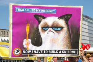 grumpy_cat_builds_a_gnu_internet