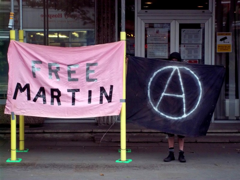 free martin