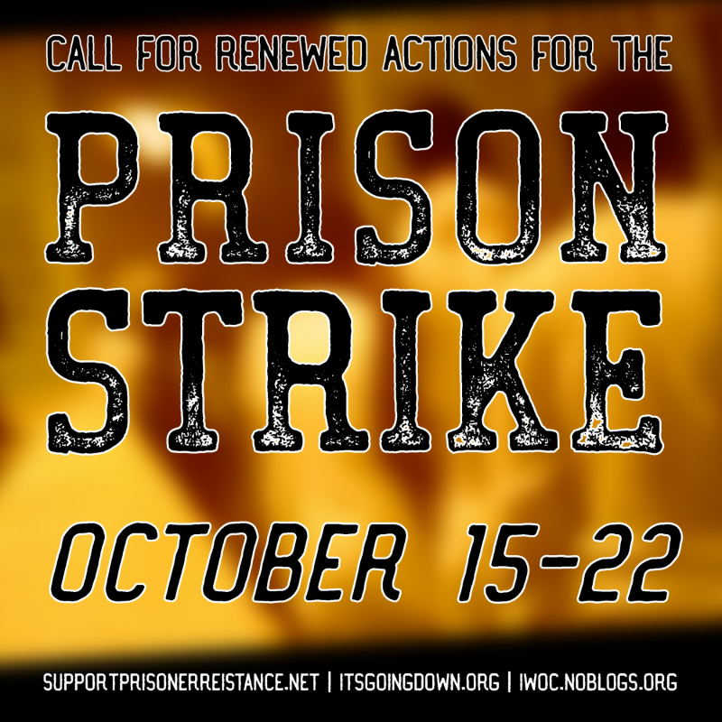 soli action USA strike october 2016