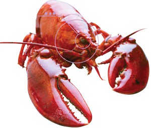 robot lobster