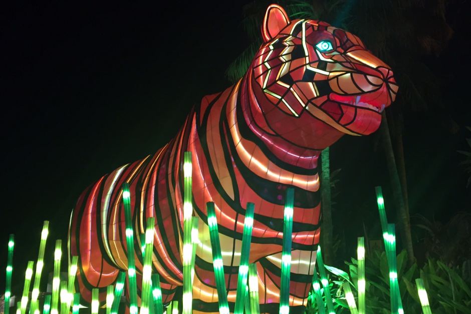 glowing tiger
