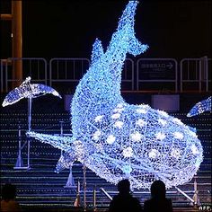 whale lights