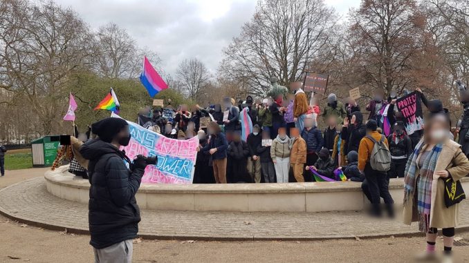 A large crowd holding various queer and trans flags and banners with faces blurred out