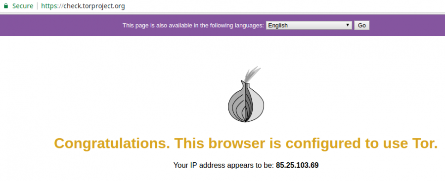 instal Tor 12.5.1